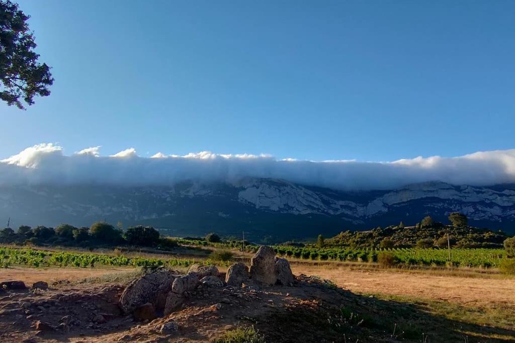 Zaldivar Etxea Leza Εξωτερικό φωτογραφία